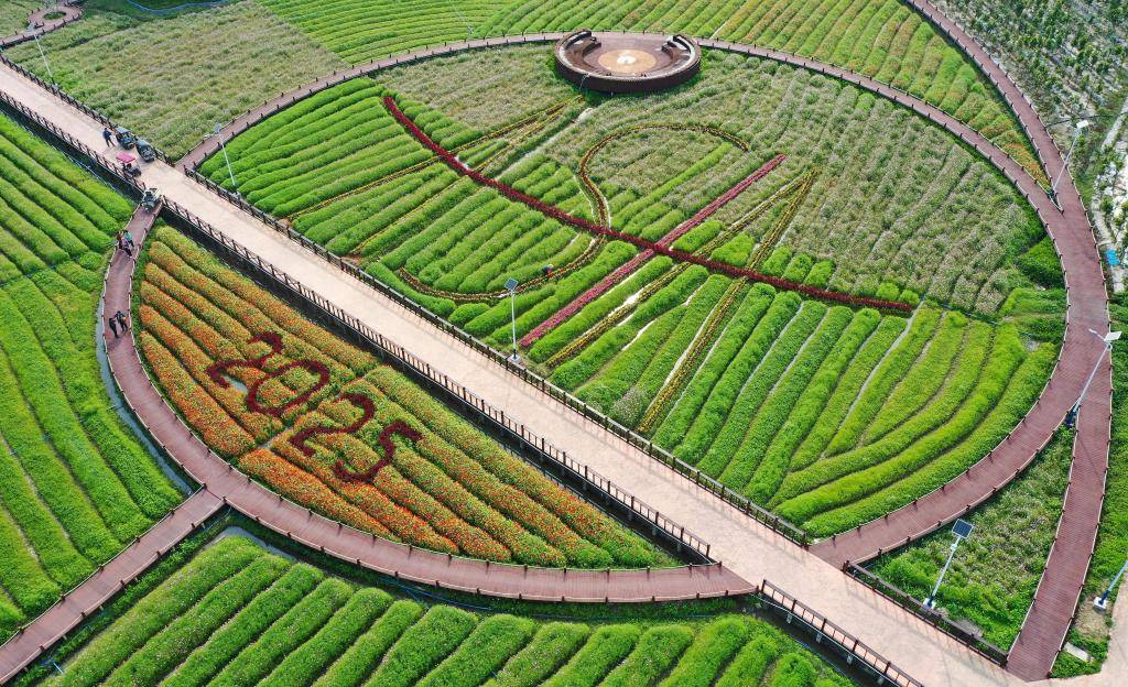 這是3月21日拍攝的瓊海博鰲南強村景色（無人機照片）。新華社記者 郭程 攝