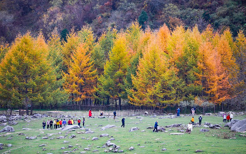 2023年10月27日，深秋時(shí)節(jié)的陜西秦嶺太子嶺五彩斑斕，進(jìn)入最佳觀賞期。
