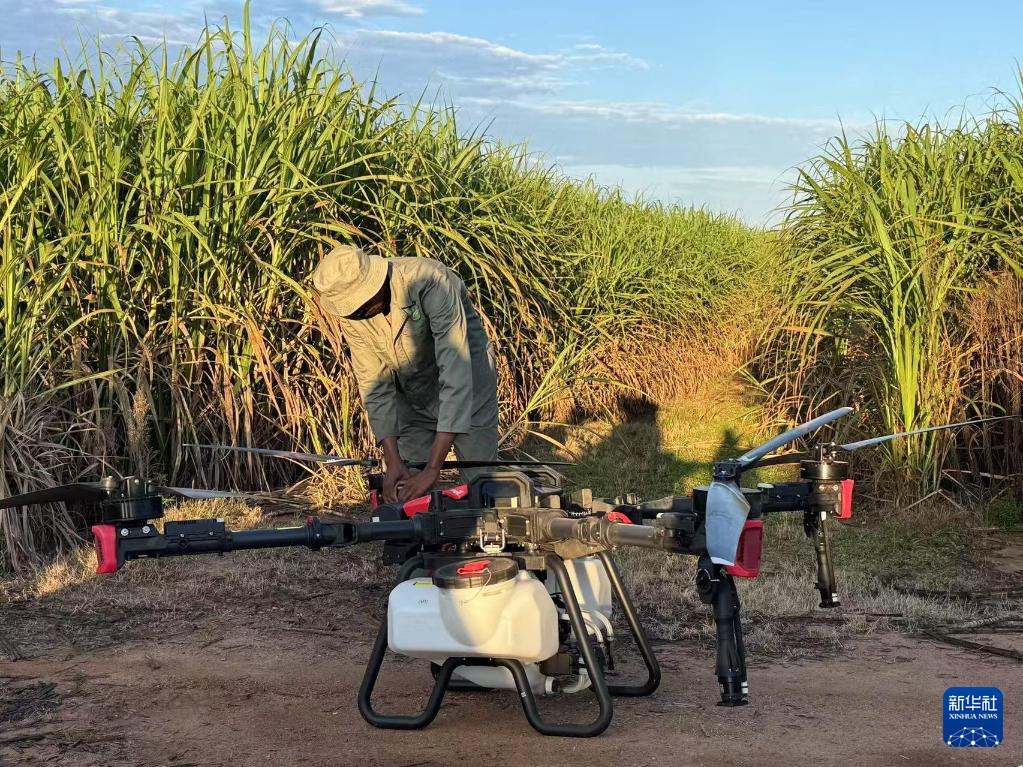 3月25日，在南非夸祖魯-納塔爾省的方廷希爾莊園，工作人員為無人機做起飛作業(yè)前的準備。新華社記者 白舸 攝