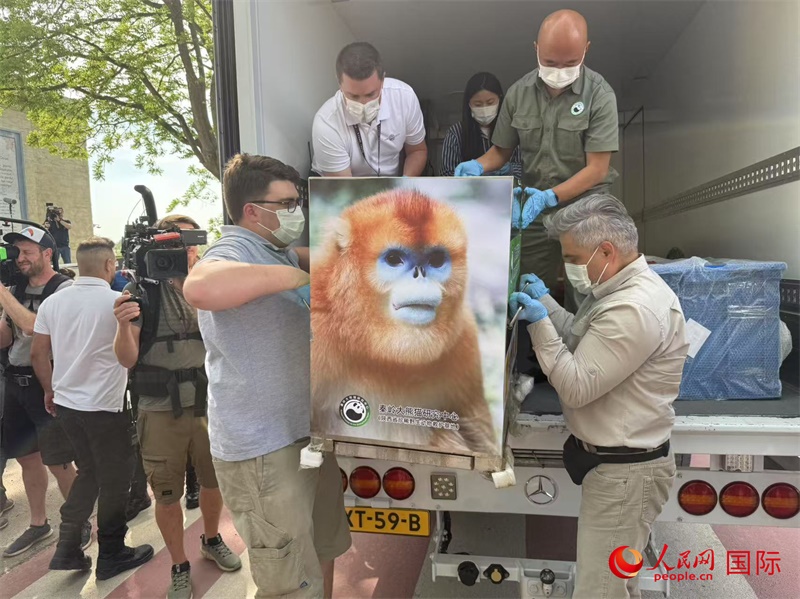 圖為活動(dòng)現(xiàn)場(chǎng)。人民網(wǎng)記者 牛瑞飛攝