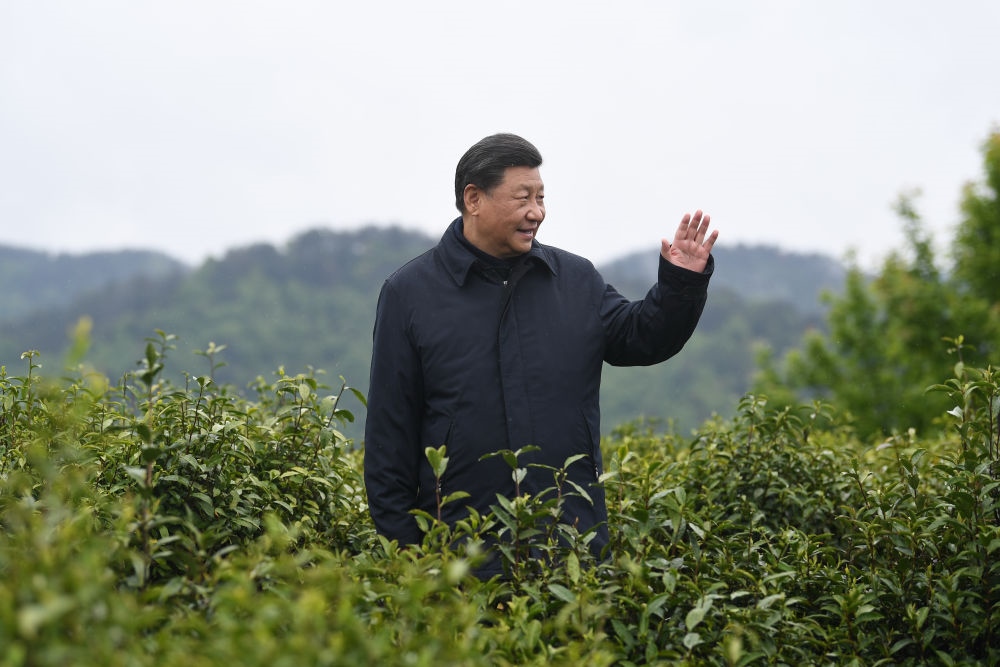 2020年4月21日，習近平總書記來到陜西安康市平利縣老縣鎮(zhèn)，在茶園考察脫貧攻堅情況。新華社記者 燕雁 攝