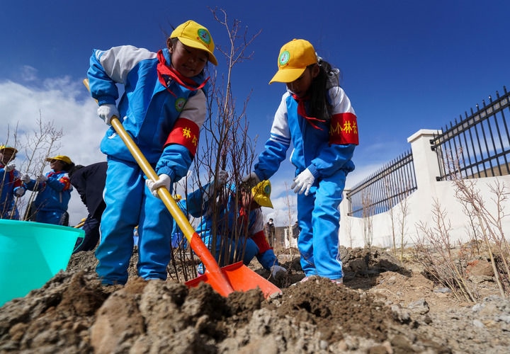 2025年4月25日，西藏那曲市小學(xué)生在植樹。新華社記者 晉美多吉 攝
