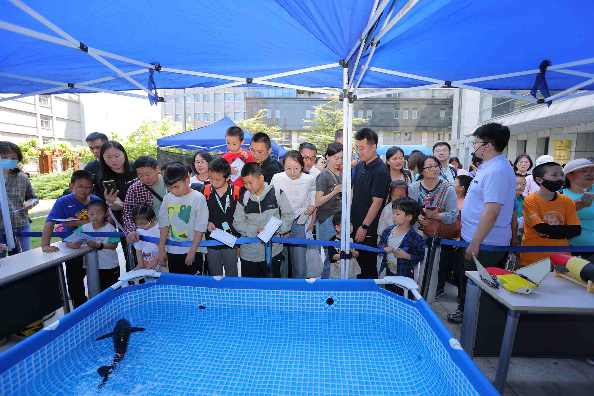 水下仿生機(jī)器魚(yú)在活動(dòng)現(xiàn)場(chǎng)大受歡迎。中國(guó)科學(xué)院自動(dòng)化研究所供圖